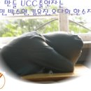 포토샵으로 내 사진 꾸미기 이미지