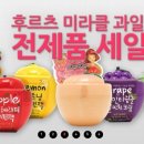 바비 펫 이미지