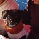 하얀멍이 이미지