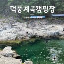 돌배야영장(제1야영장) | 국내 여름휴가지 추천, 강원도 덕풍계곡캠핑 2야영장에서 즐긴 물놀이(38번 데크 후기)