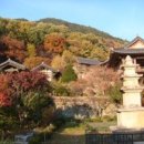 부석사 - 서산시 | 부석사
