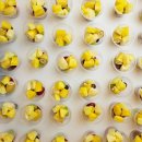 목포동초등학교 이미지