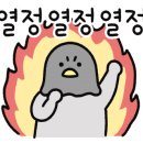 노은태권도 이미지