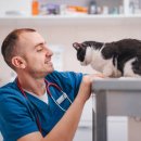 괴산동물병원 이미지