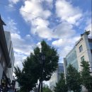 마음의 풍경, 색연필로 그리기 | 카페 노티드 서래 :: 서래마을 디저트 카페는 노티드(KNOTTED)