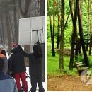 국립청옥산자연휴양림관리소 이미지