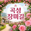 곡성기차마을 전통시장 | 곡성 장미축제 주말 당일치기 코스 주차 시간대 준비물 정리
