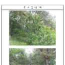 초읍동-07 이미지