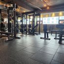 플레타짐 이미지