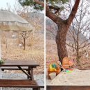 하녹타케 이미지