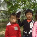 참빛농장 이미지