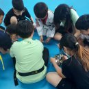 연세경인 태권도장 이미지