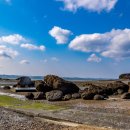 신흥목장2 이미지