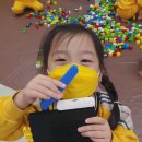 신나는블럭세상