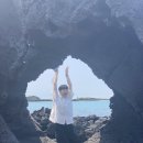 빈도롱이 이미지