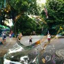 BUBBLE PARK 이미지