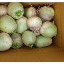 무주반디농장 이미지