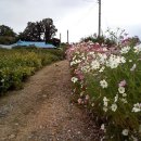 해달별펜션 이미지