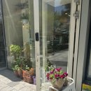 사계절꽃집 | 상암동 꽃집 사계절에 꽃 화분 내돈내산 후기