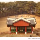 종로-숭인-종로-숭-177 | 여성답사:단종비 정순왕후 송씨를 찾아서