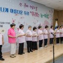 늘푸름