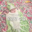 아기다람쥐 | [리뷰]부천 스필 문센 우아한성장 오로로 아기다람쥐 수업 후기