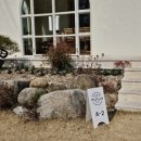 경주감성숙소 까사멜로우 A 이미지