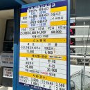 용화파도민박 | 강원 삼척 여행 스노쿨링 포인트 장호항 주차 팁