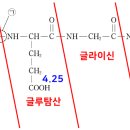 2022 MD 12번 : 등전점(pI) 계산, 펩타이드 결합 이미지