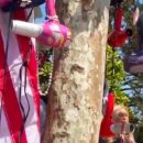 db헤어 - 고양시 일산동구 | db헤어