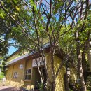 스시아시타송천 | 전주 스시아시타 송천 초밥맛집 솔직후기