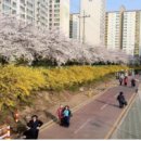 우이천변4(신화초교) 이미지