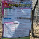 현일초교도로 이미지