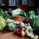 준혁농장 이미지