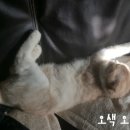 두류동물병원 이미지