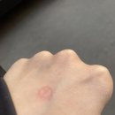 공촌유수지 테니스장 | [청라] 공촌유수지 테니스장에서 라온테니스 첫 랠리!