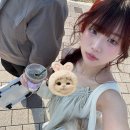 내돈내산 쥬베룩아이 후기 + 쥬베룩아이 정품인증 이벤트까지 •••