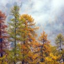 황금약수탕 이미지