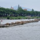 서천무지개분수대 이미지