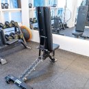 크레이짐 이미지