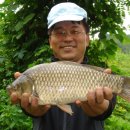 구(고경) 이미지