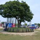 태화강 국가정원 이미지