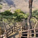 용문파크사우나 | 양평 애견동반 1박 2일 겨울 여행 코스