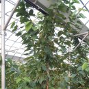 시후농장 이미지