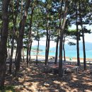 월포해수욕장야영장 이미지