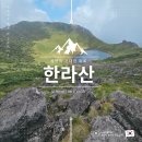 오토오아시스 백록담점 | 한라산 등산 코스 추천 3번의 도전 끝에 만난 백록담