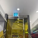 플레이피시카페