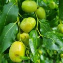 청미래마을(수암) 이미지