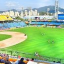 중구야구장 이미지