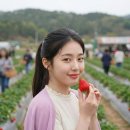 삼례 공용터미널 | 2026 완주삼례딸기대축제 기본정보 일정 초대가수 셔틀버스 총정리 | 전북 완주 3월 축제